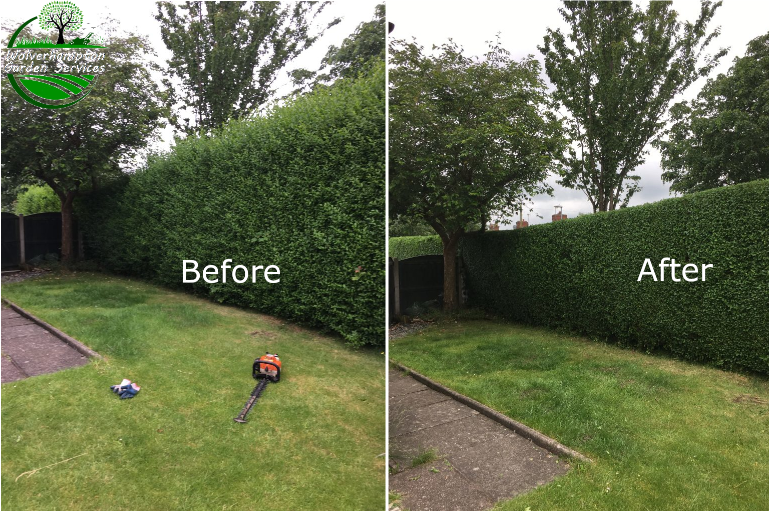 wolverhampton-hedge-cutting